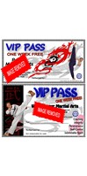 Martial Arts VIP Gift Passes_Front & Back