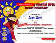 Martial Arts Certificate