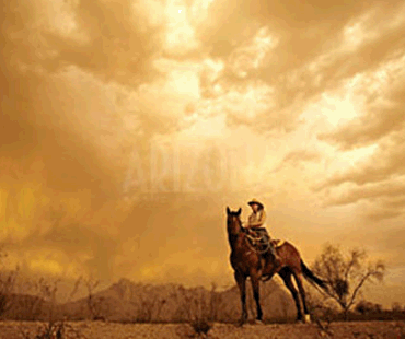 Arizona Cowboy Image